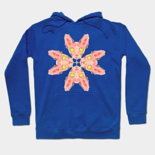 Sphynx Cat Pink Hoodie